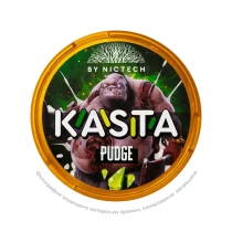 Снюс Kasta Dota 2 Pudge, 120 мг/г, жвачка с зеленым яблоком, slim portion